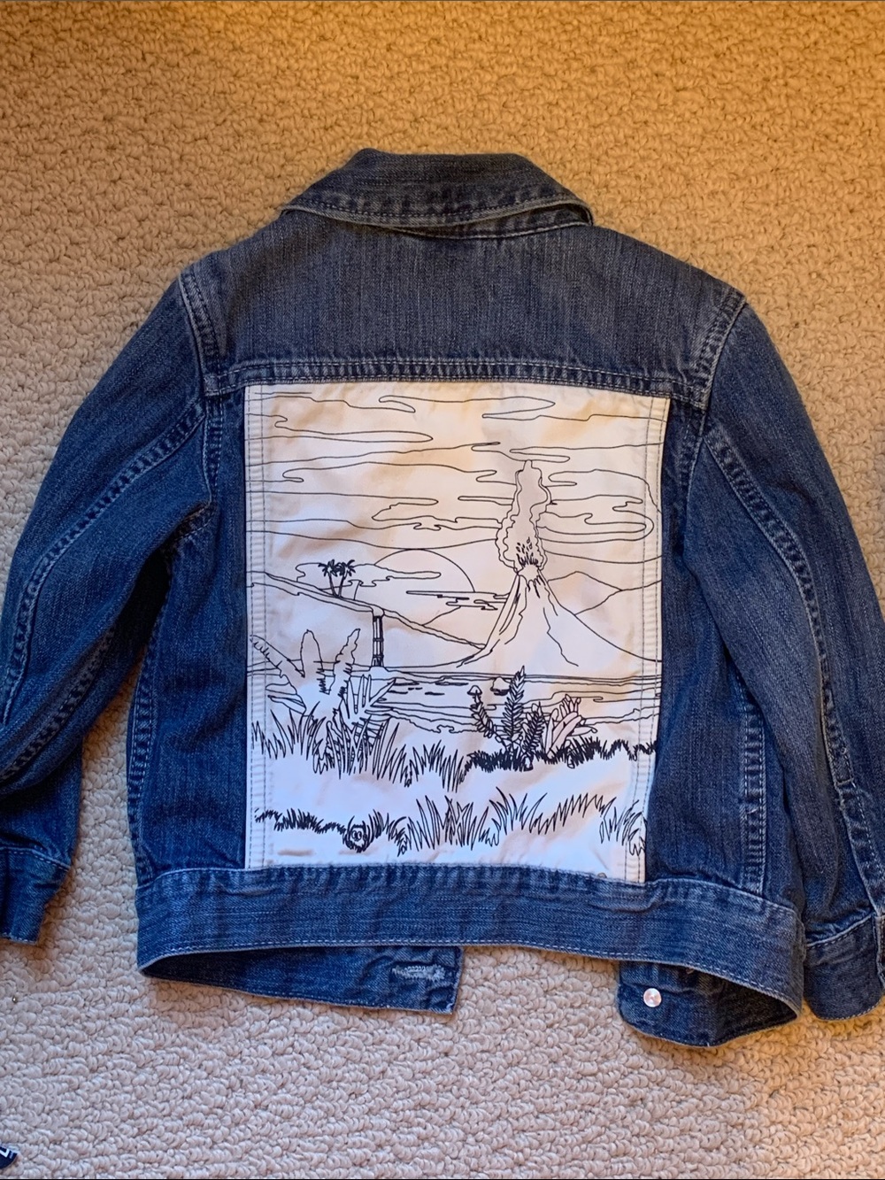 GAP kids Denim Jacket with Blue and White Scenic Back Panel size 3